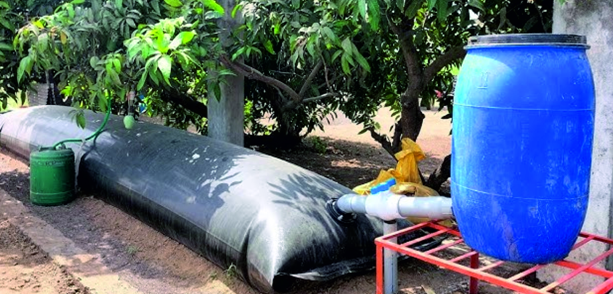 Jeevamrut Biofertilizer and Dashaparni Production