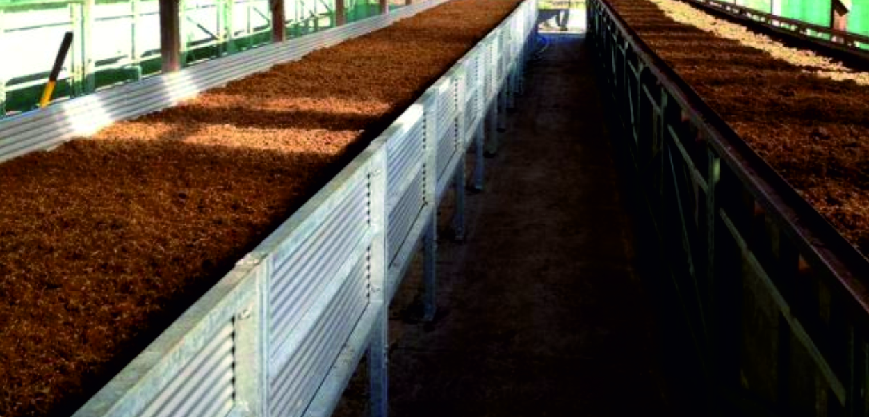 Vermicompost and Vermiwash Production