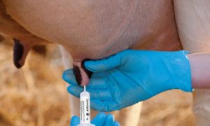 10. TRANSITION MANAGEMENT