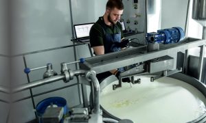 Dairy Processing Management